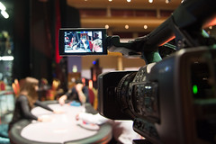 Killarney-8340 • <a style="font-size:0.8em;" href="http://www.flickr.com/photos/127814297@N08/29972016345/" target="_blank">View on Flickr</a>